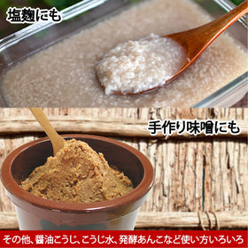Isesou Miyako Koji 1kg texture sample reveals smooth, rich miso consistency.