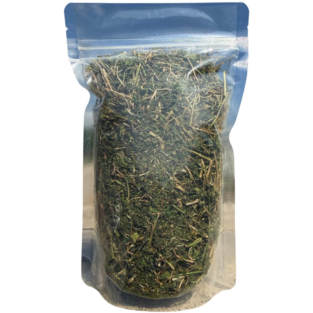 Iset By Nature bitter melon leaves tea ready for a soothing herbal brew.