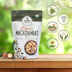 Island Harvest unsalted macadamias close-up—creamy texture and natural flavor