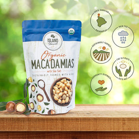 Island Harvest macadamia nuts dry-roasted close-up – rich flavor