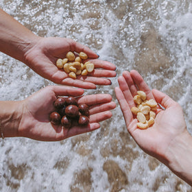 Island Harvest macadamia nuts fiber-rich snack – nutrition highlights