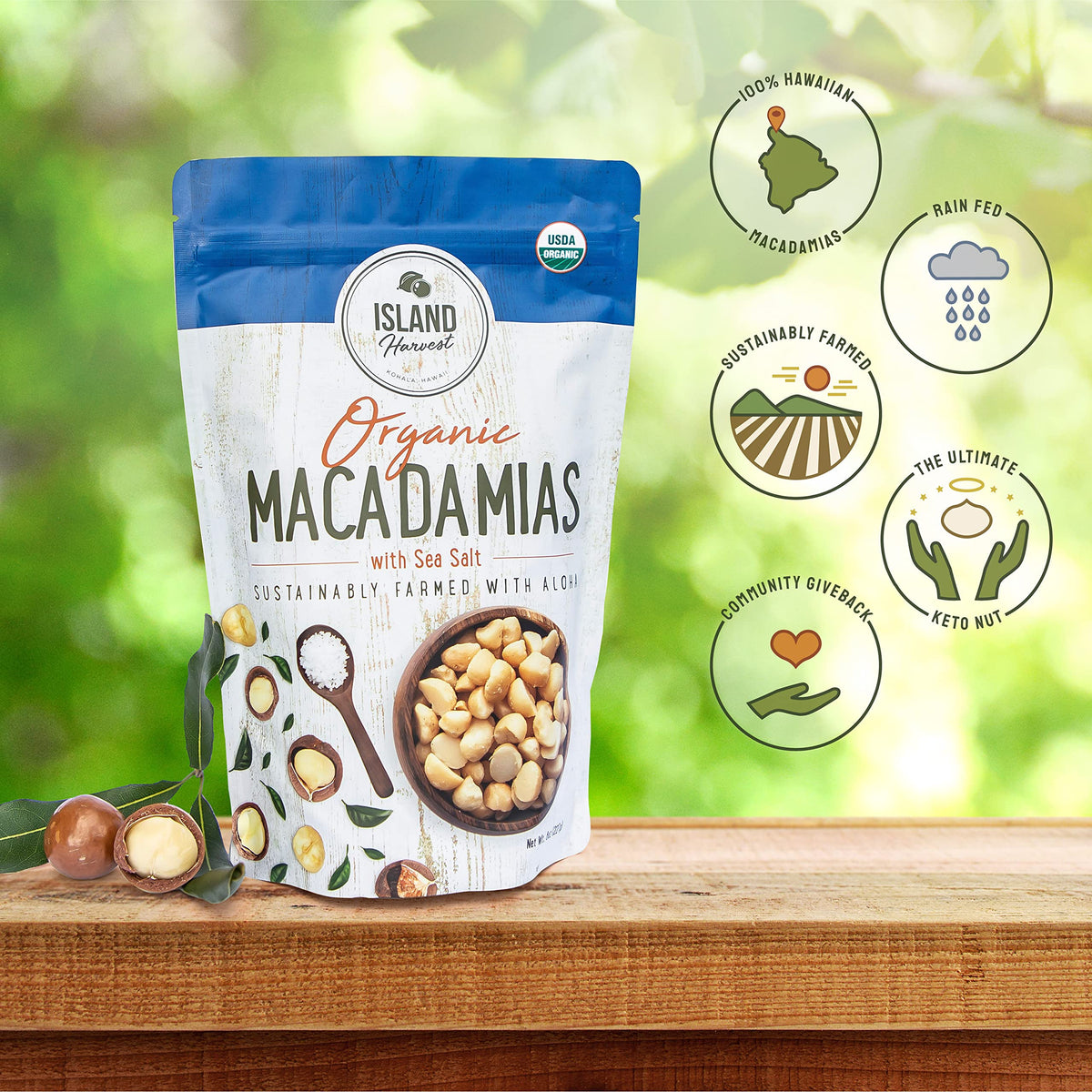 Island Harvest organic macadamias sea salt closeup, creamy texture and natural flavor