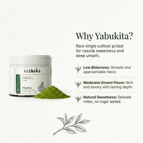 Isshiki Matcha finely-ground tea leaves close-up showing vibrant color and freshness