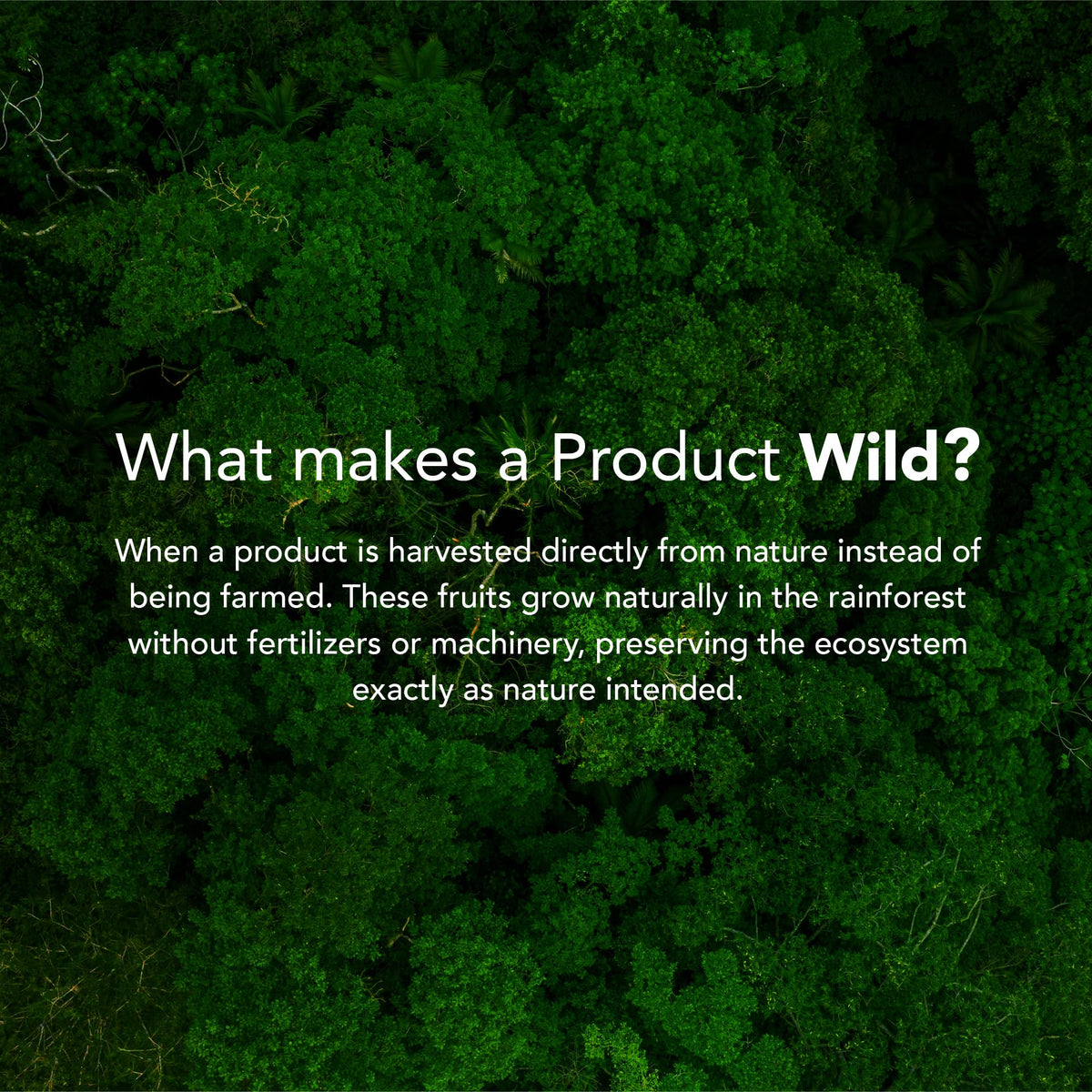 Its Good Energy Brazil Wild Nuts close-up shows crunchy texture for a satisfying snack.