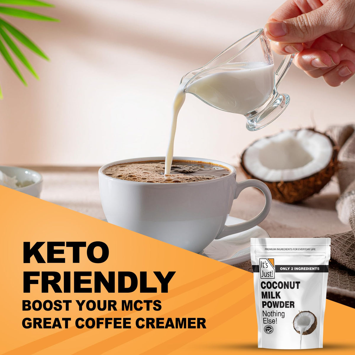 It's Just coconut milk powder measuring spoon ready to bake dairy-free desserts.