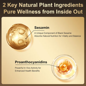 I WUGU black sesame ingredients map highlighting key components and benefits.