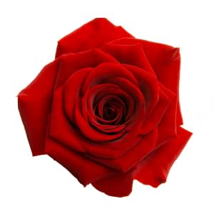 DIY face scrub using Iyasa rose petal powder and natural ingredients