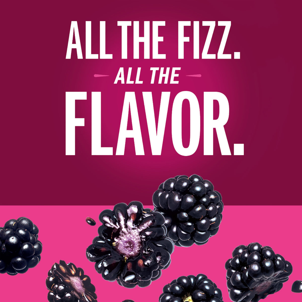 IZZE Blackberry sparkling juice pack highlights convenient 24-pack for gatherings.