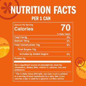 IZZE Clementine sparkling juice real-fruit blend on citrus palette.