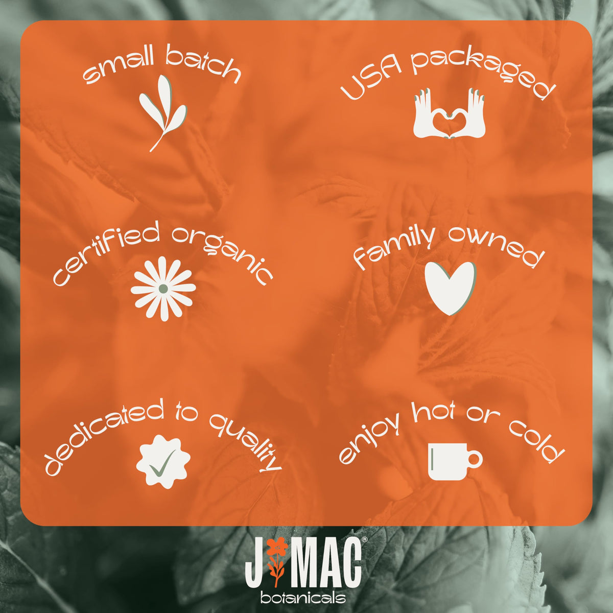 J Mac Botanicals resealable packaging preserving freshness of St John's Wort.