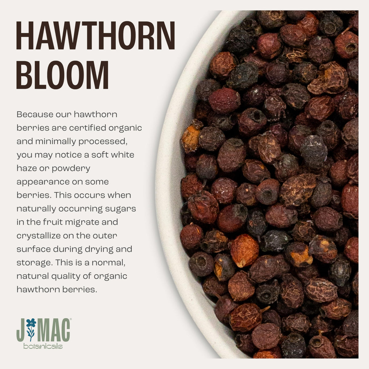 J Mac Botanicals Crataegus monogyna berries from the rose family.