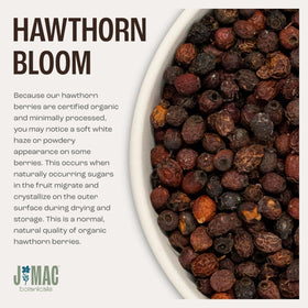 J Mac Botanicals Crataegus monogyna berries from the rose family.
