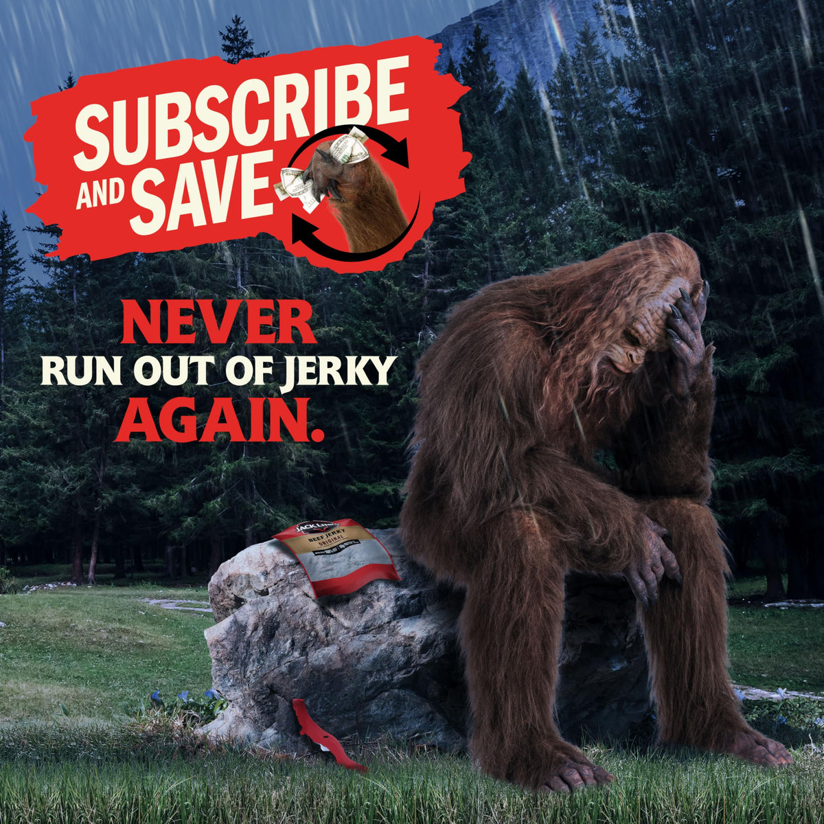 Jack Link's grab-and-go jerky for road trips and workouts.