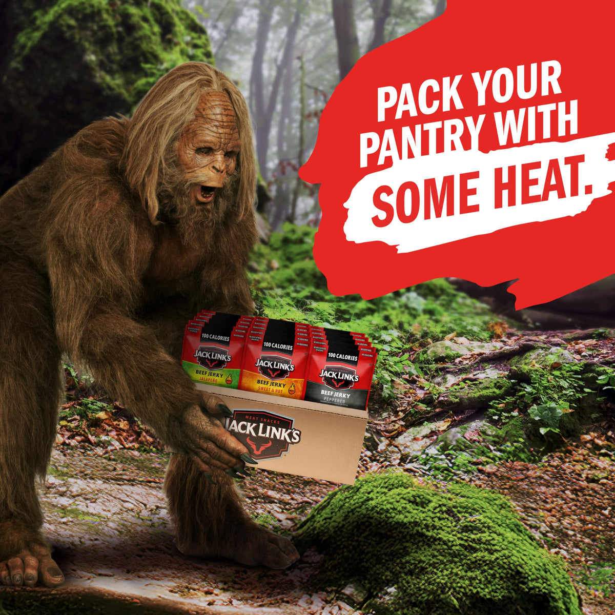 Jack Link's lunchbox-friendly jerky for school or work breaks.
