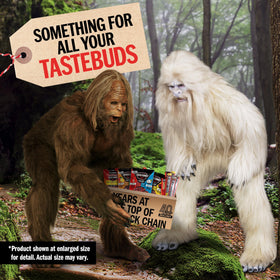 Jack Link's DUOs chicken tender bites pack for quick energy