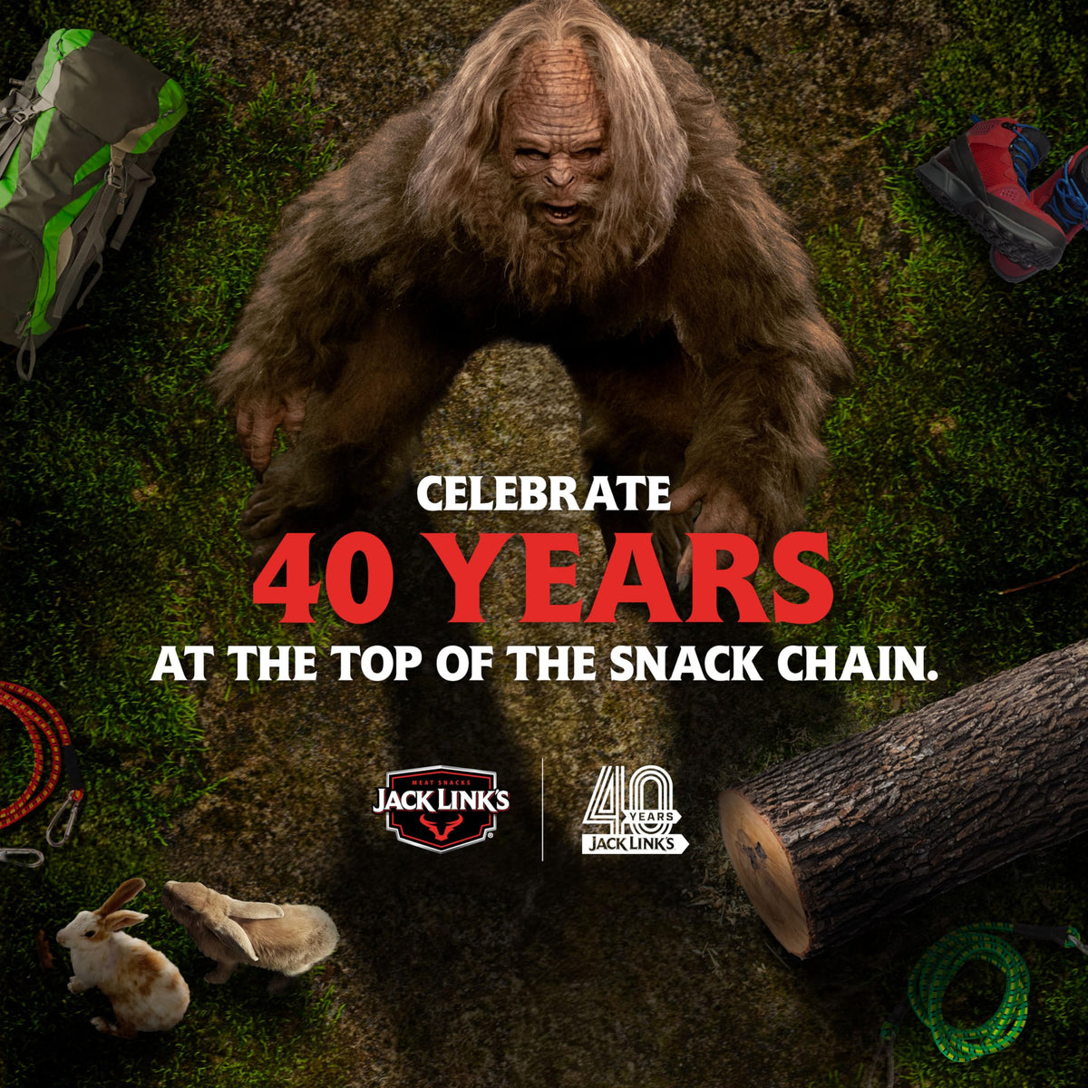 Family-friendly multipack snack collection featuring Jack Link's jerky