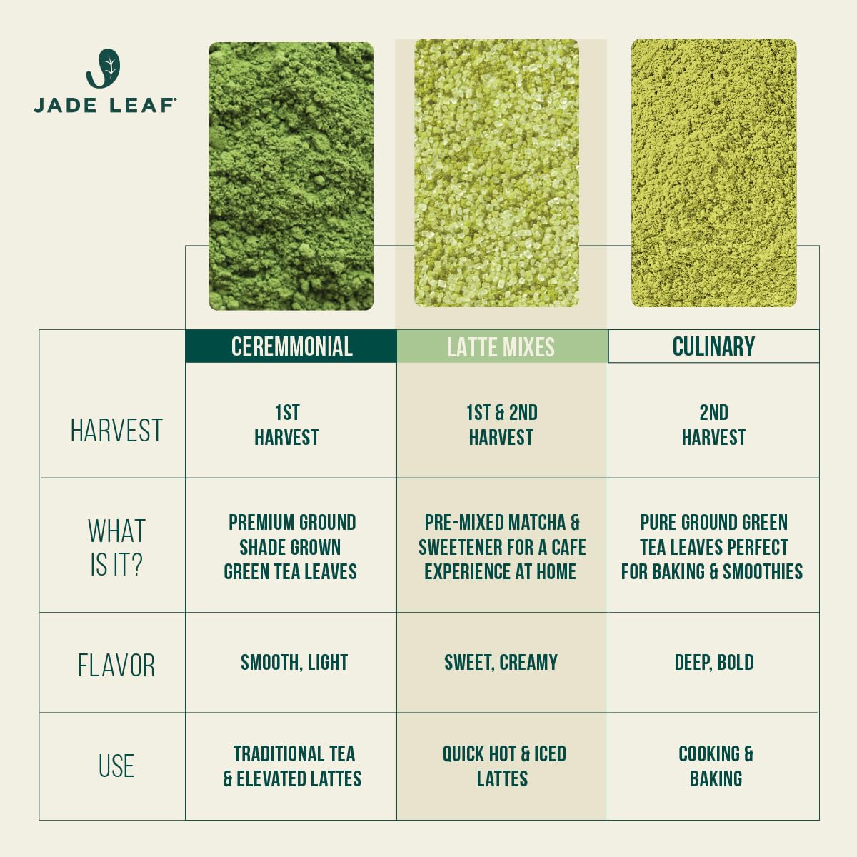 Jade Leaf Matcha Latte Mix hot cup setup ready to serve.
