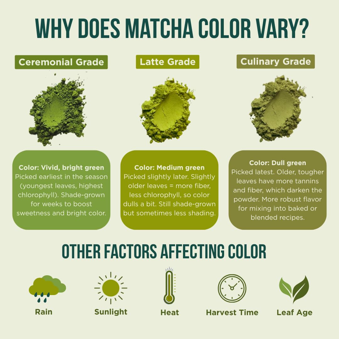 Jade Leaf Matcha Latte Mix frothing helps create creamy latte texture.