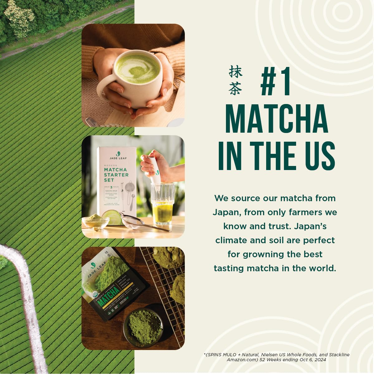 Jade Leaf organic Japanese matcha delivering vibrant color and smooth umami.