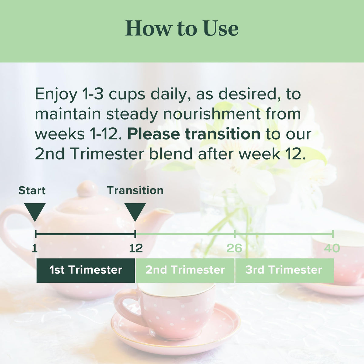 Jade Tea First Bloom brewed cup with warm steam invites comforting daily ritual.
