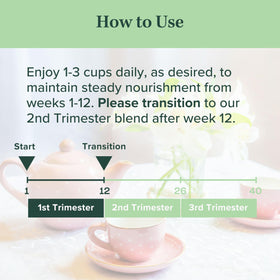 Jade Tea First Bloom brewed cup with warm steam invites comforting daily ritual.