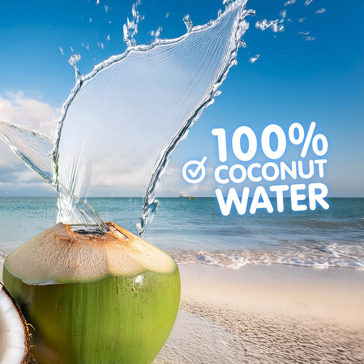 Jans coconut water with pulp close-up label showing unsweetened, non-GMO notes.
