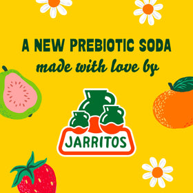 Jarritos Sana Sana Guava can—vibrant flavor ideal for daytime hydration and snacking.
