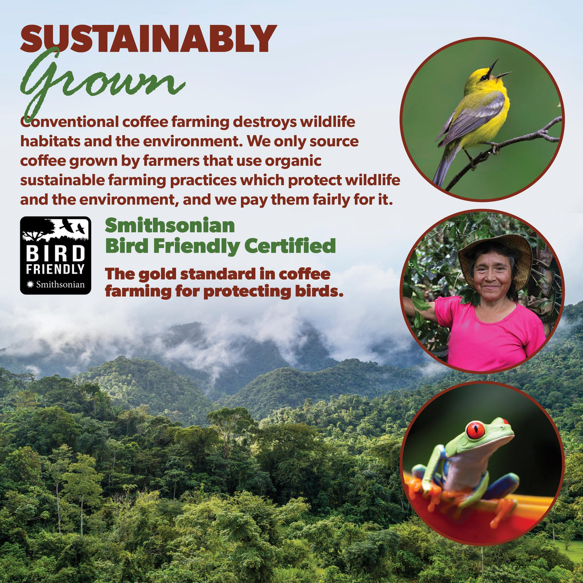 Java Planet medium-dark roast delivers smooth full flavor and balance