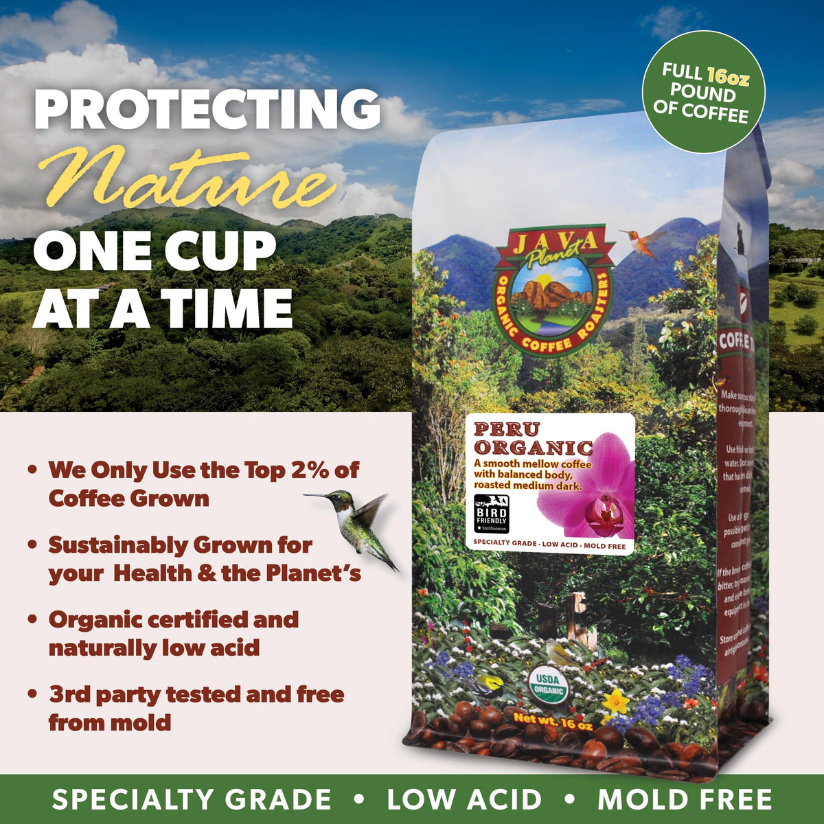Java Planet whole bean versatility supports various brewing methods
