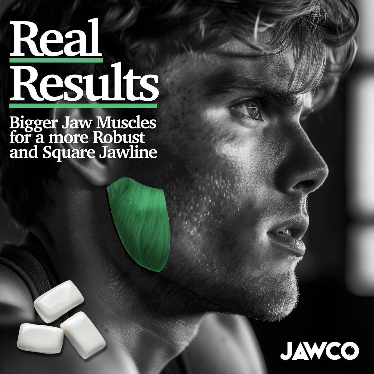 JAWCO shelf banner illustrates sugar-free nootropic gum option