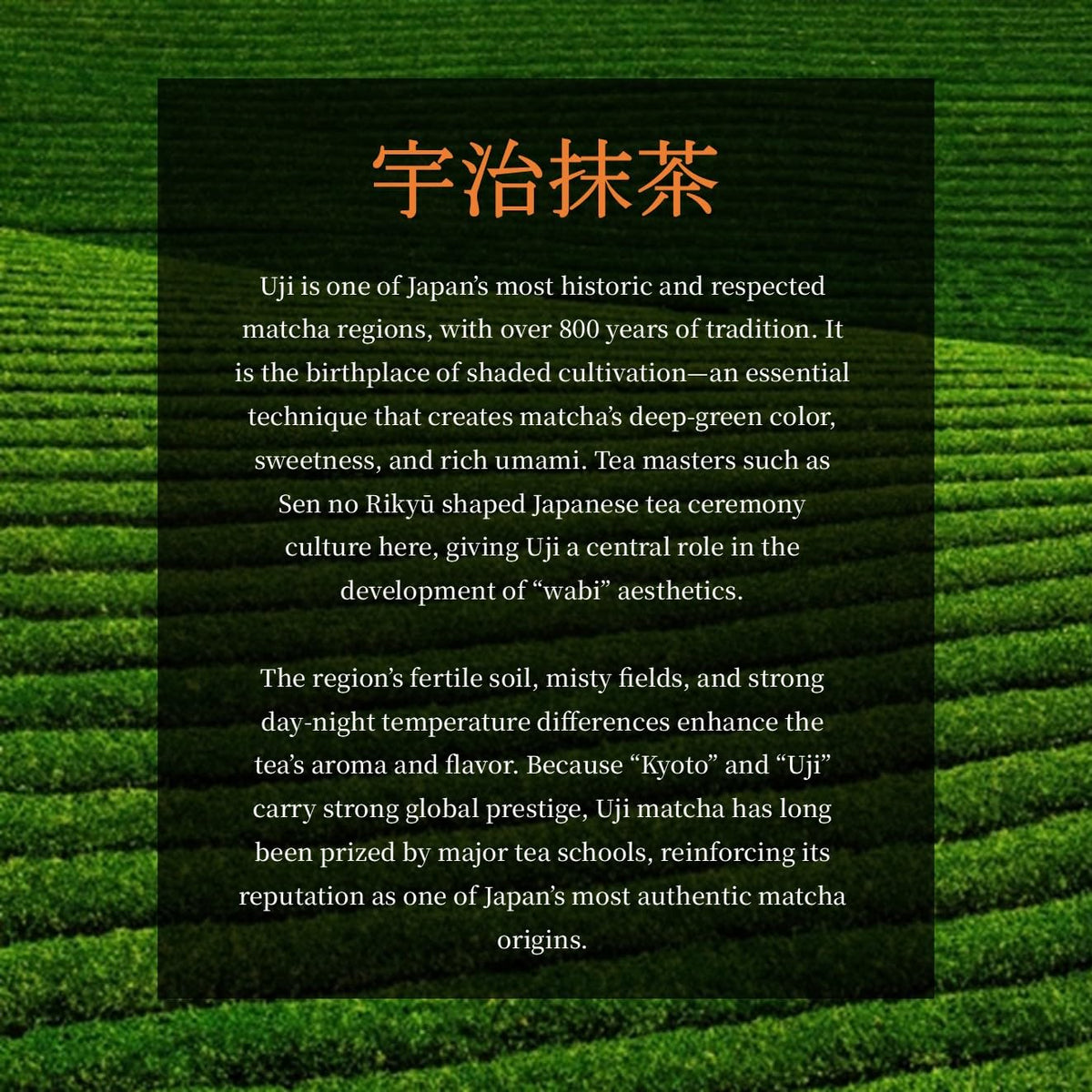 JEAU CHAU Uji Matcha used in baking for vibrant green desserts