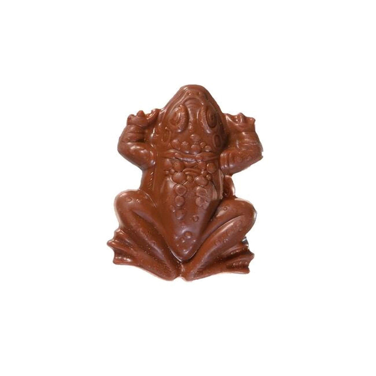 Jelly Belly Harry Potter Chocolate Frog showing milk chocolate and crisped rice texture.