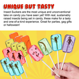 Jerky-n-Spice Ant lollipop delivering playful edible insect experience