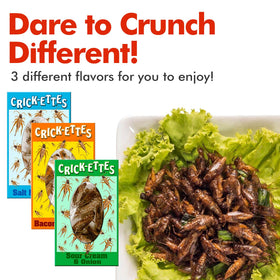 Jerky-n-Spice HotLix Crick-ettes Bacon and Cheese flavor savory bite-sized novelty