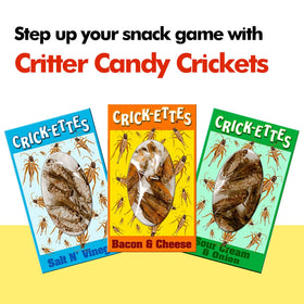 Jerky-n-Spice HotLix Crick-ettes Salt and Vinegar tang ideal for sharing