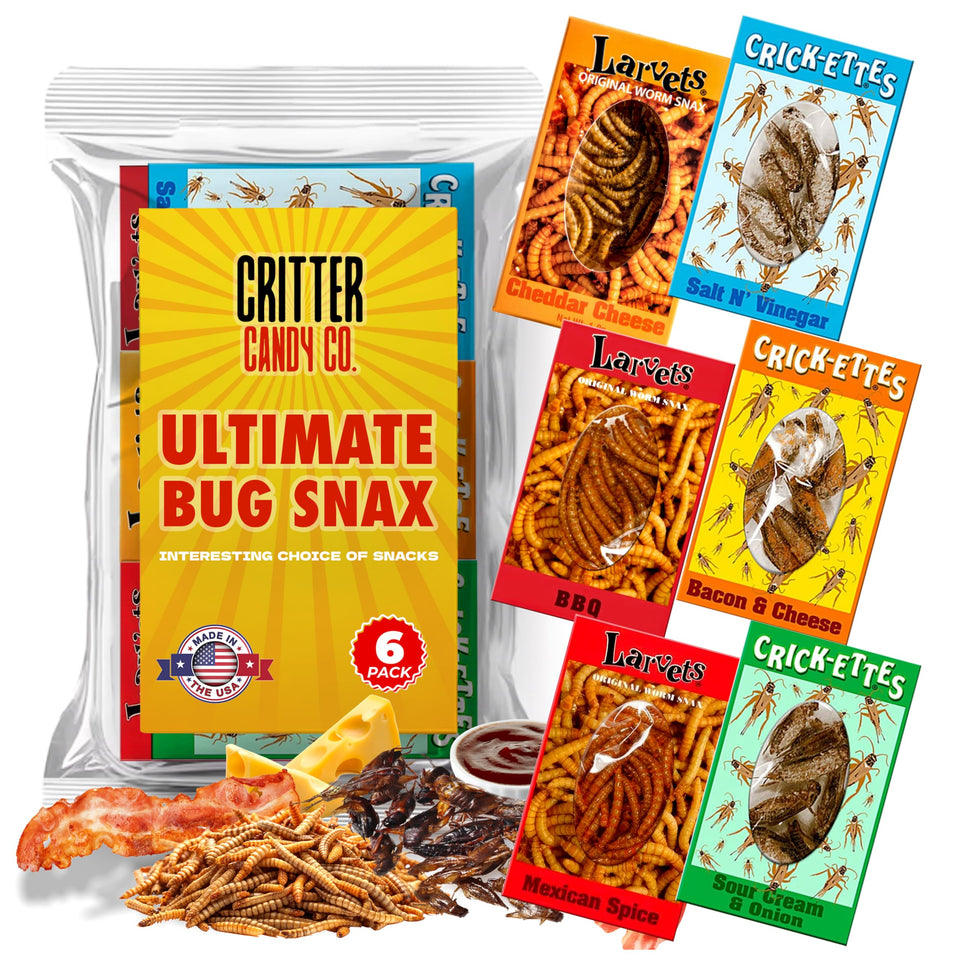 HotLix Crick-ettes six-pack box showcases bold, adventurous snacks.