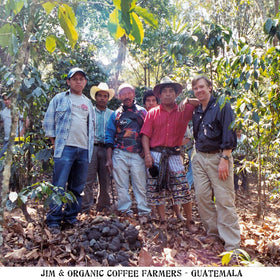 Jim's Organic Coffee Guatemalan Lake Atitlan coffee beans ready for grind for drip or french press.