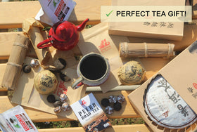 Jinglong Tea Factory aroma highlighting woodsy and nutty notes
