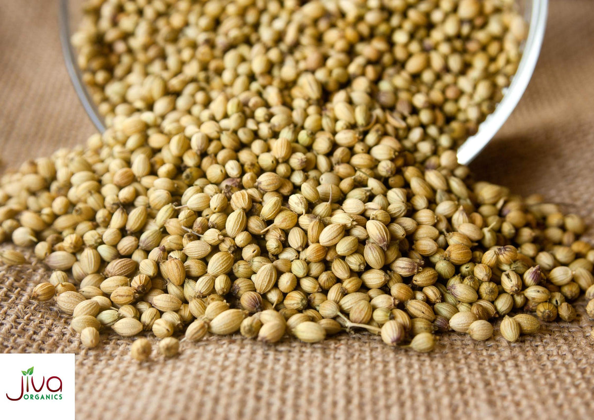 Jiva Organics coriander seeds from India, harvested at peak for robust flavor