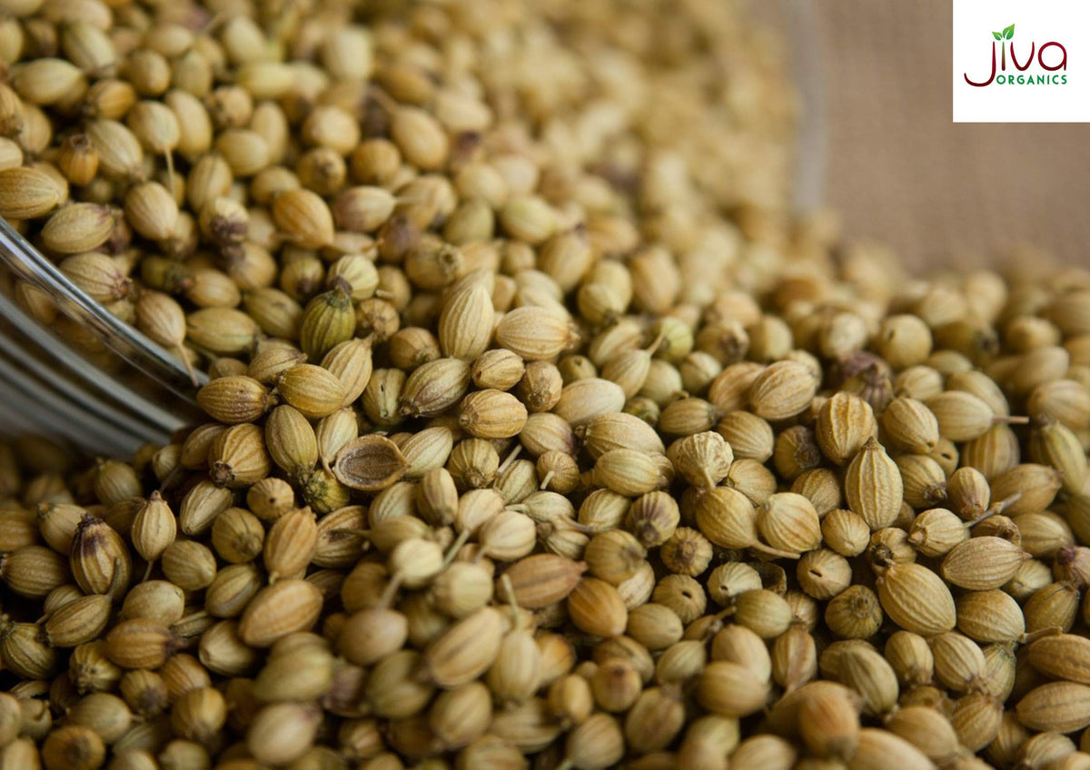 Jiva Organics coriander seeds on a spice rack for easy seasoning