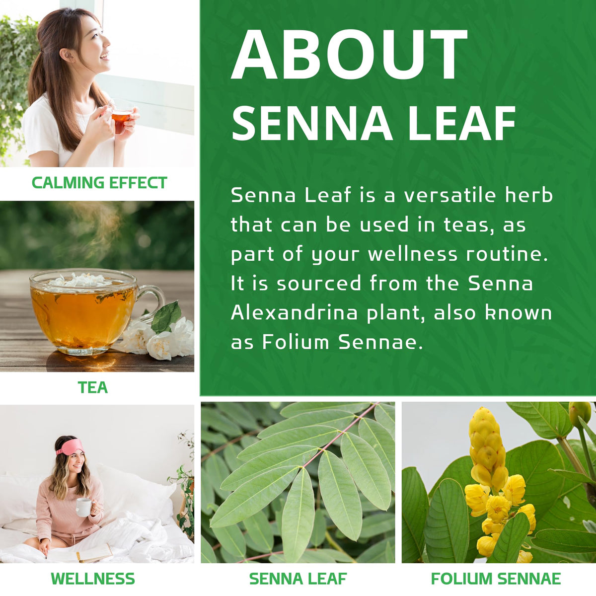 Jiva Organics senna leaf in resealable kraft bag for freshness.