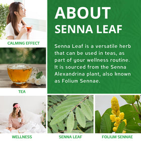 Jiva Organics senna leaf in resealable kraft bag for freshness.