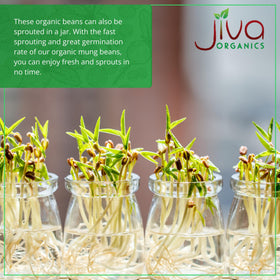 Resealable bag of Jiva Organics mung beans for bulk storage