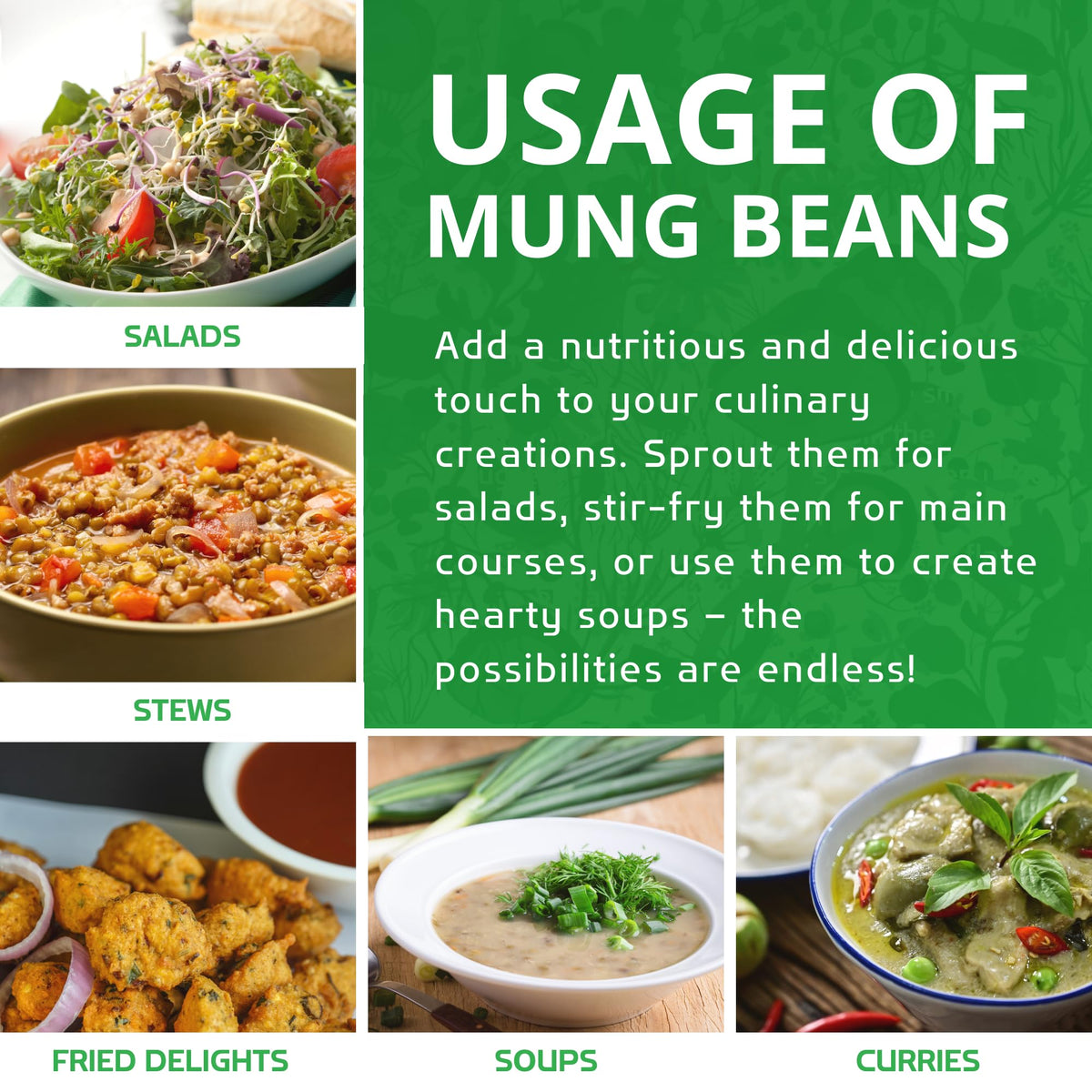 Jiva Organics mung beans sprouting in a jar for fresh use