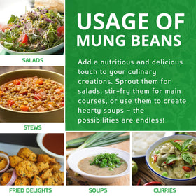 Jiva Organics mung beans sprouting in a jar for fresh use