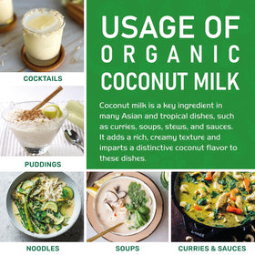 Jiva Organics vegan keto-friendly coconut milk offers versatile dairy-free options