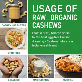 Making dairy-free milk with Jiva Organics raw cashews
