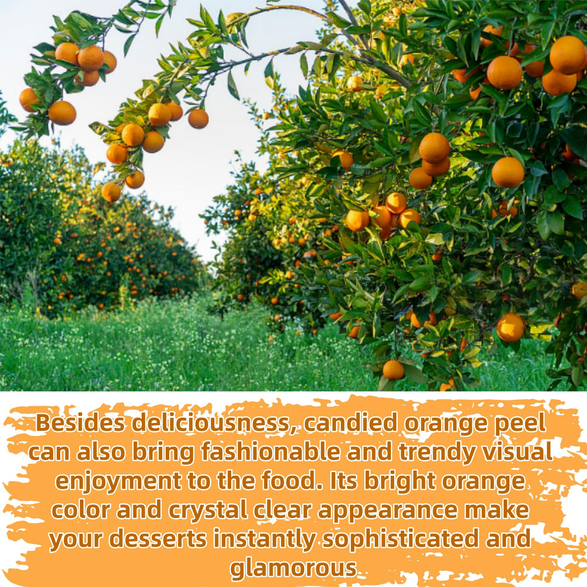 JKPDAMZ orange peel dices for baking ensure consistent size and sweetness