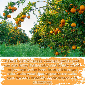 JKPDAMZ orange peel dices for baking ensure consistent size and sweetness