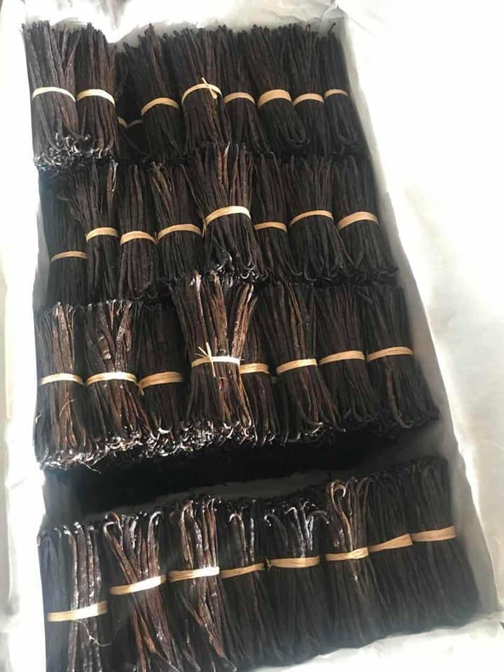 JL Gourmet Madagascar vanilla bean, pliable length enabling easy splitting.